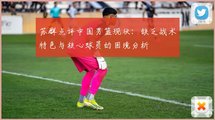 苏群点评中国男篮现状：缺乏战术特色与核心球员的困境分析
